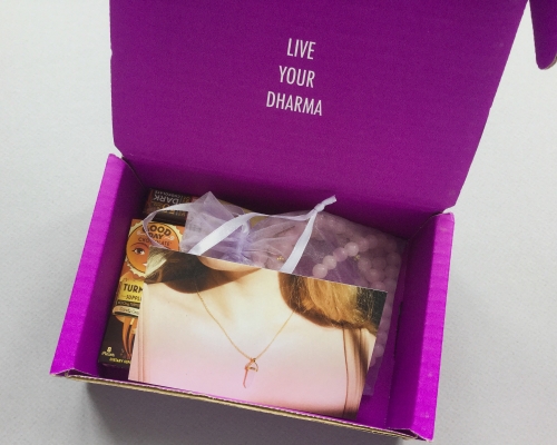 Yogi Surprise Jewelry Subscription Box Review + Coupon Code – February 2019