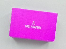 Yogi Surprise Jewelry Subscription Box Review + Coupon Code – February 2019