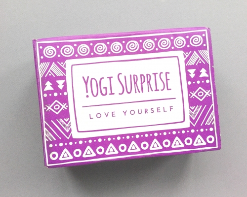 Yogi Surprise Subscription Box Review + Coupon Code – February 2019