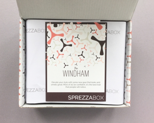 SprezzaBox Subscription Box Review + Coupon Code – February 2019