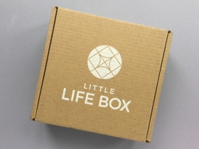 Little Life Box Subscription Box Review + Promo Code – February 2019
