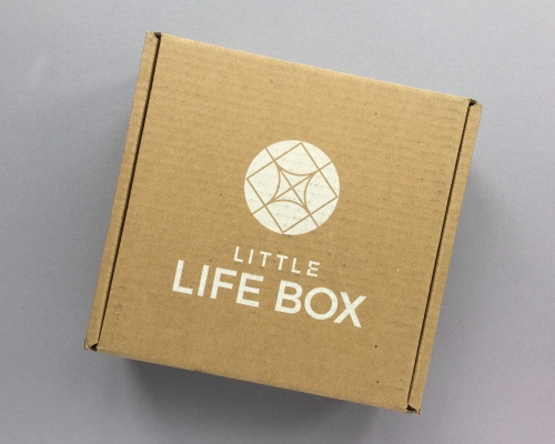 Little Life Box Subscription Box Review + Promo Code – February 2019