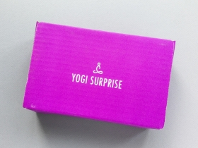 Yogi Surprise Jewelry Subscription Box Review + Coupon Code – March 2019