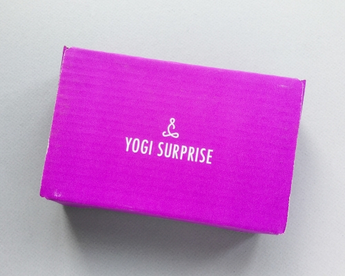 Yogi Surprise Jewelry Subscription Box Review + Coupon Code – March 2019