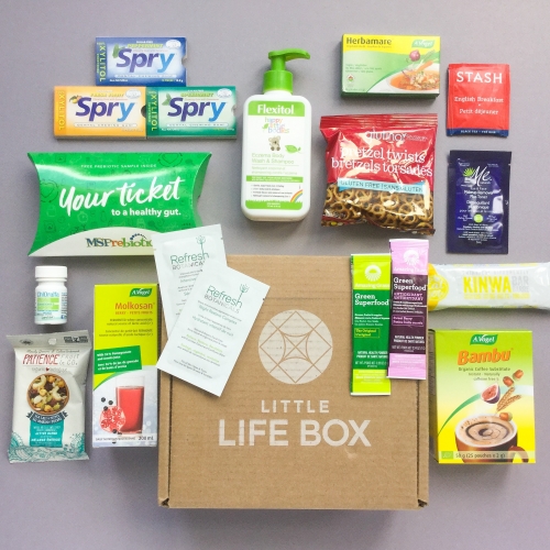 Little Life Box Subscription Box Review + Promo Code – March 2019