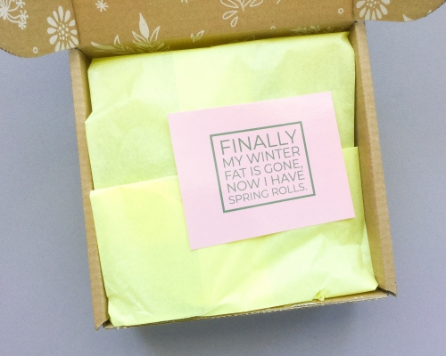 Little Life Box Subscription Box Review + Promo Code – April 2019