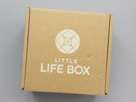 Little Life Box Subscription Box Review + Promo Code – April 2019