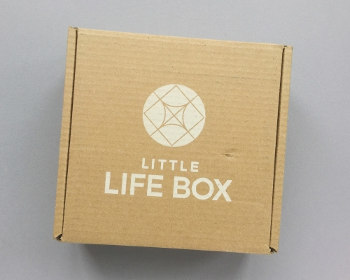 Little Life Box Subscription Box Review + Promo Code – April 2019