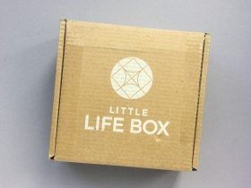 Little Life Box Subscription Box Review + Promo Code – March 2019
