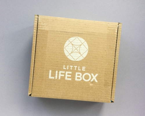 Little Life Box Subscription Box Review + Promo Code – March 2019