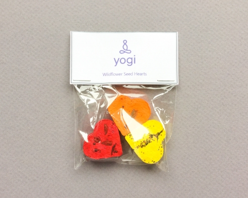 Yogi Surprise Subscription Box Review + Coupon Code – April 2019