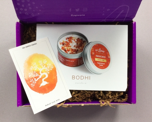Yogi Surprise Subscription Box Review + Coupon Code – April 2019