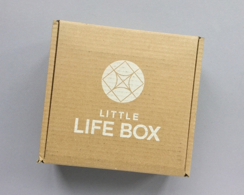 Little Life Box Subscription Box Review + Promo Code – May 2019