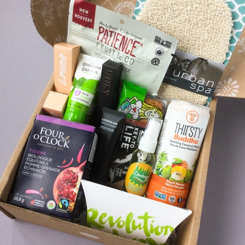 Little Life Box Subscription Box Review + Coupon Code – Summer 2019