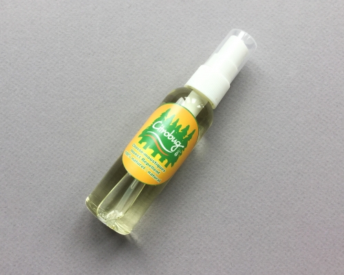 Little Life Box Subscription Box Review + Coupon Code – Summer 2019