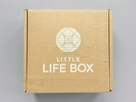 Little Life Box Subscription Box Review + Coupon Code – Summer 2019