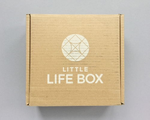 Little Life Box Subscription Box Review + Coupon Code – Summer 2019