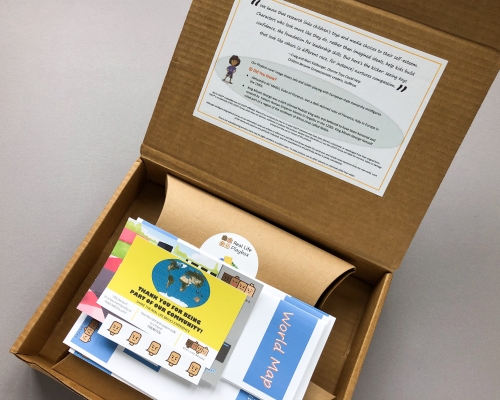 Real Life Bricks Subscription Box Review + Coupon Code – June 2019