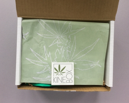 Kine Box Subscription Box Review + Coupon Code – July 2019