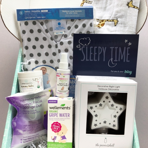 Bitsy Box Subscription Box Review – August 2019