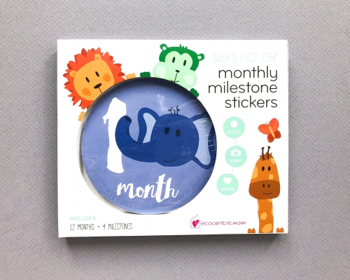 Ecocentric Mom Subscription Box Review + Coupon Code – August 2019