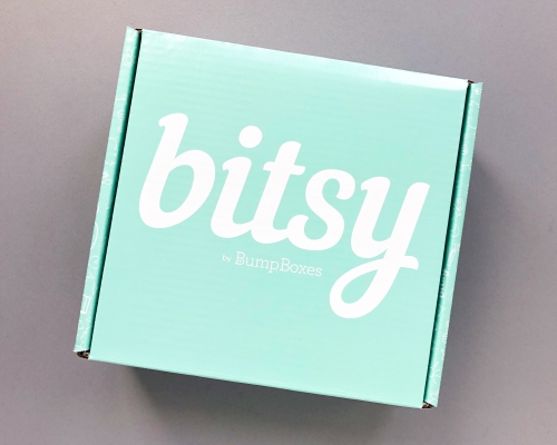Bitsy Box Subscription Box Review – August 2019