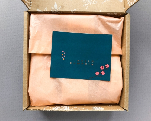 Little Life Box Subscription Box Review + Coupon Code – Fall 2019