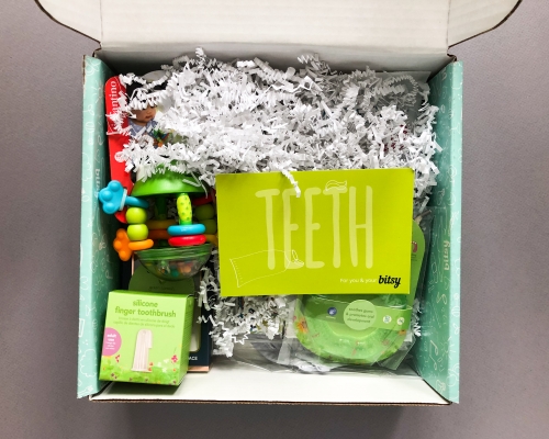 Bitsy Box Subscription Box Review – November 2019