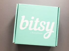 Bitsy Box Subscription Box Review – November 2019