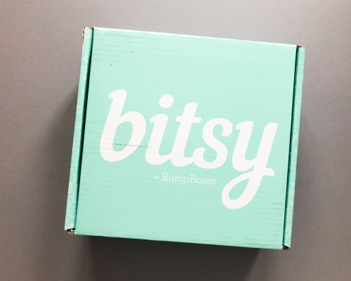 Bitsy Box Subscription Box Review – November 2019