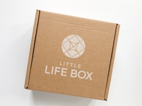 Little Life Box Subscription Box Review + Coupon Code – Fall 2020