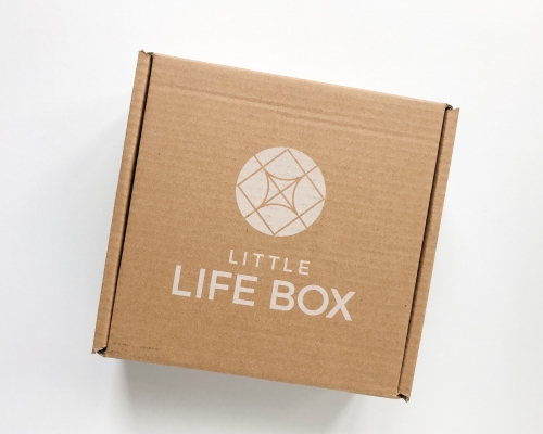 Little Life Box Subscription Box Review + Coupon Code – Fall 2020