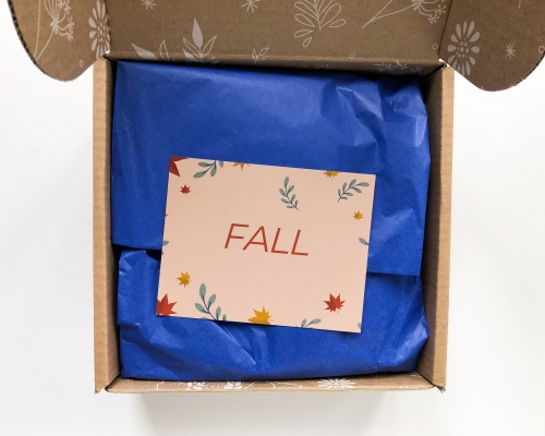 Little Life Box Subscription Box Review + Coupon Code – Fall 2020