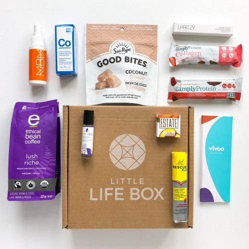 Little Life Box Subscription Box Review + Coupon Code – Fall 2020
