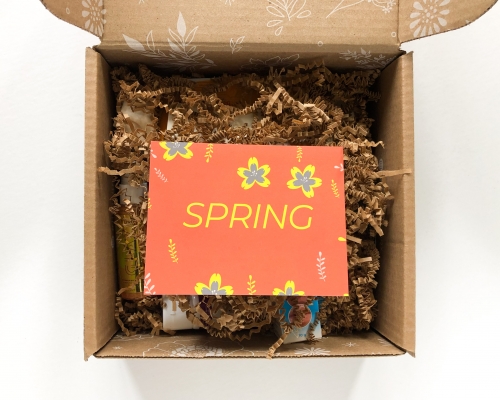 Little Life Box Subscription Box Review + Coupon Code – Spring 2021