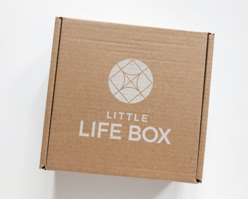 Little Life Box Subscription Box Review + Coupon Code – Summer 2021