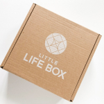 Little Life Box Subscription Box Review + Coupon Code – Fall 2021